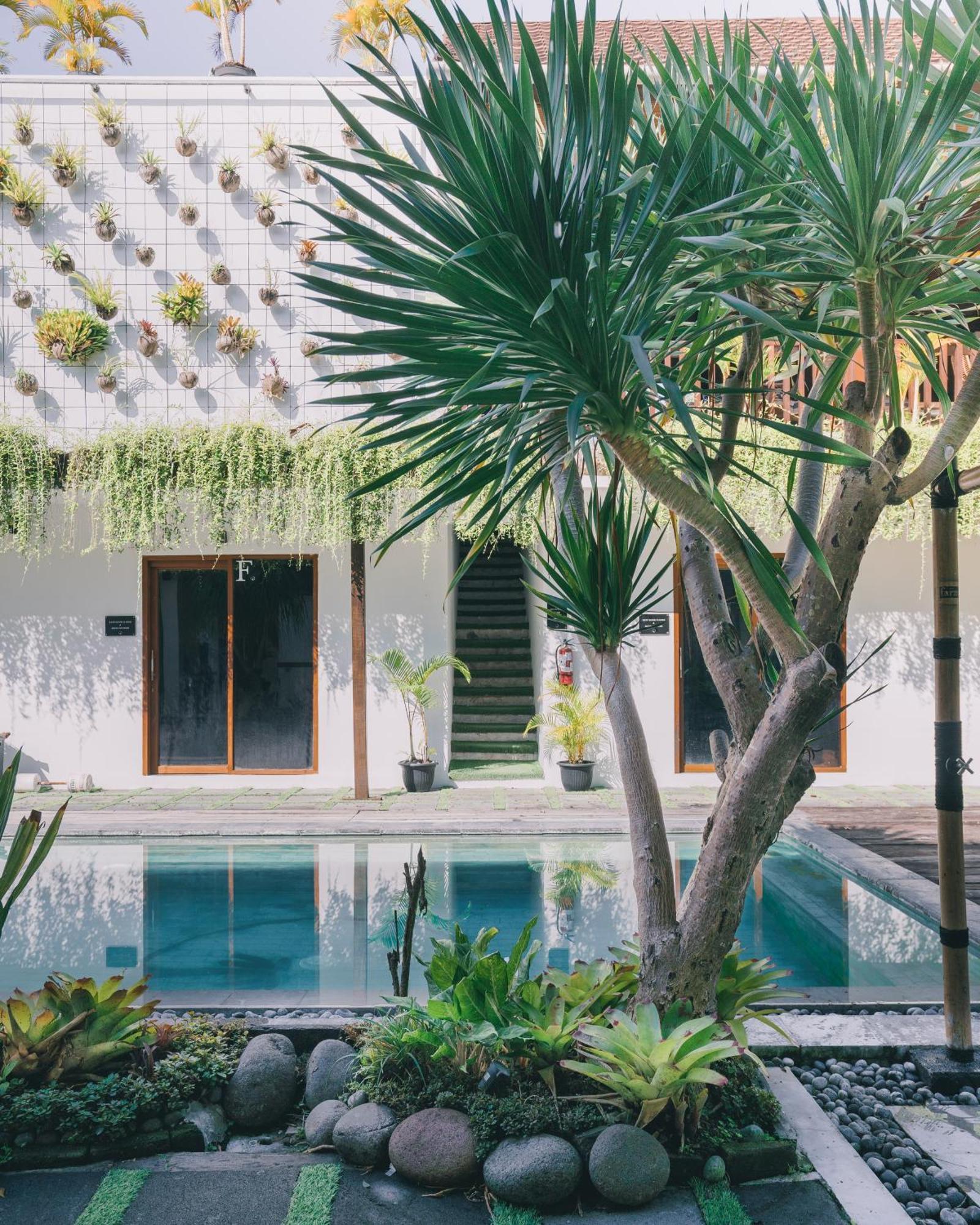 The Farm Hostel Canggu Buitenkant foto